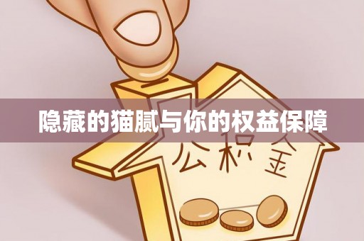 高县隐藏的猫腻与你的权益保障